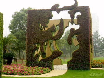 比亞迪s6社區(qū)圖片集錦 易車