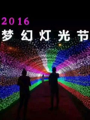 光影賦能，點(diǎn)亮景區(qū)新視界 探訪大型燈光藝術(shù)產(chǎn)品的制作、租售與景觀藝術(shù)融合